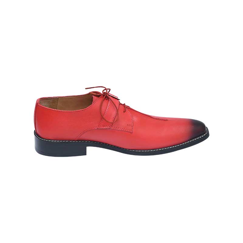 Single Monk Strap Shoes